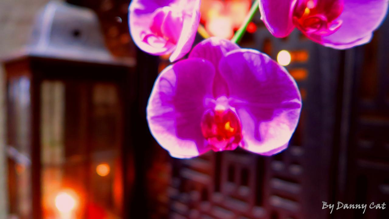 North Sea Hotel Taichung Bagian luar foto
