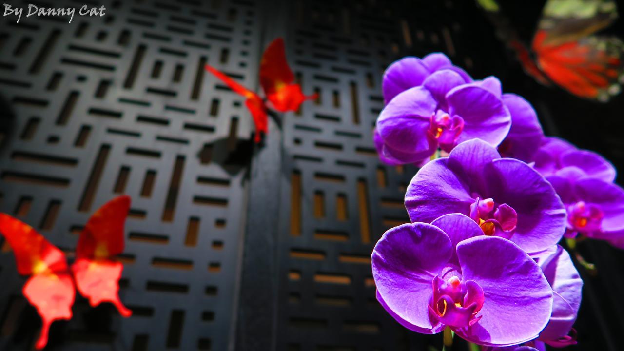 North Sea Hotel Taichung Bagian luar foto